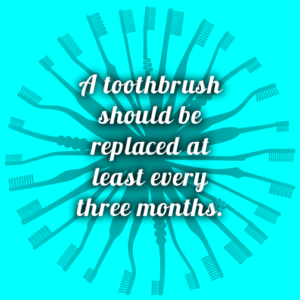Dentist in Mukilteo toothbrush tips