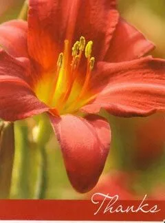 A hand-written thank you note from Amber, who has been a patient of Dr. Johnson since 2000.	